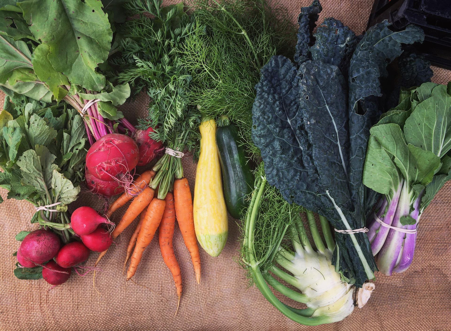 Fall 2026 CSA Subscription