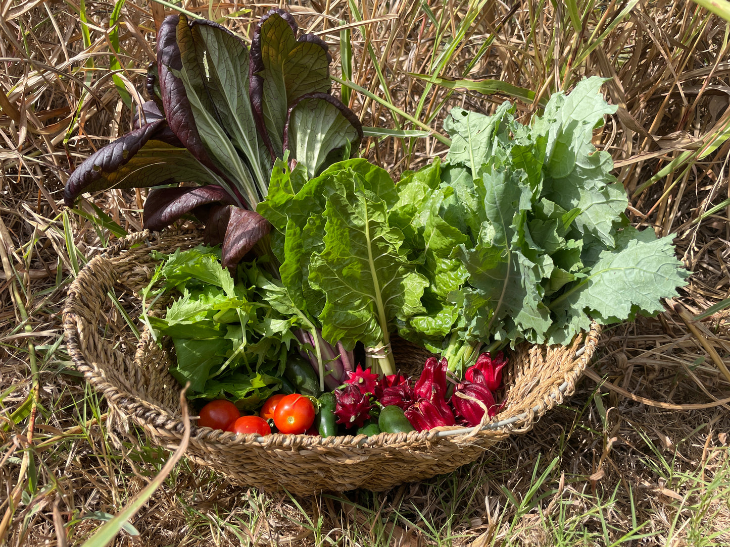 Fall 2026 CSA Subscription