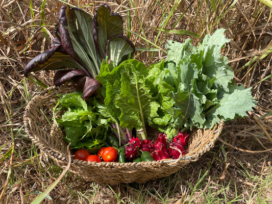 Fall 2026 CSA Subscription