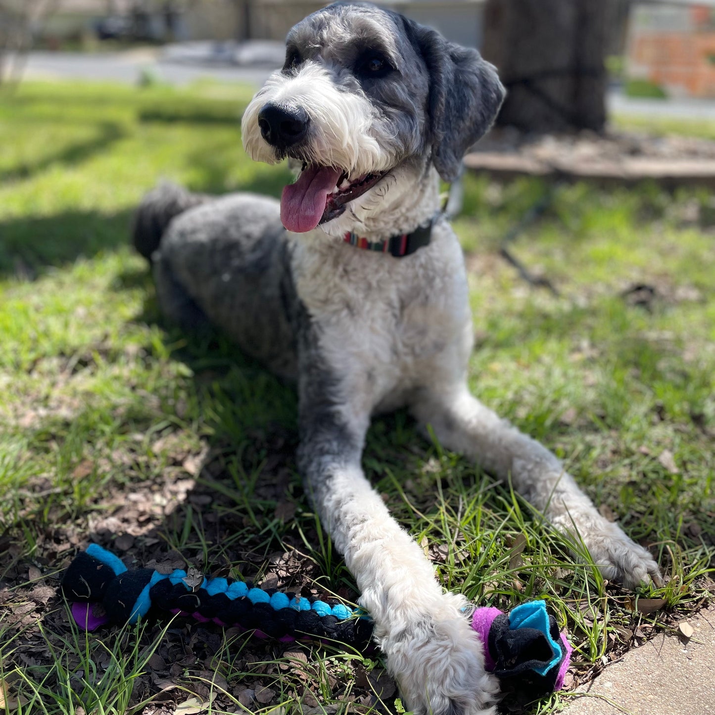 hand-braided-dog-toy