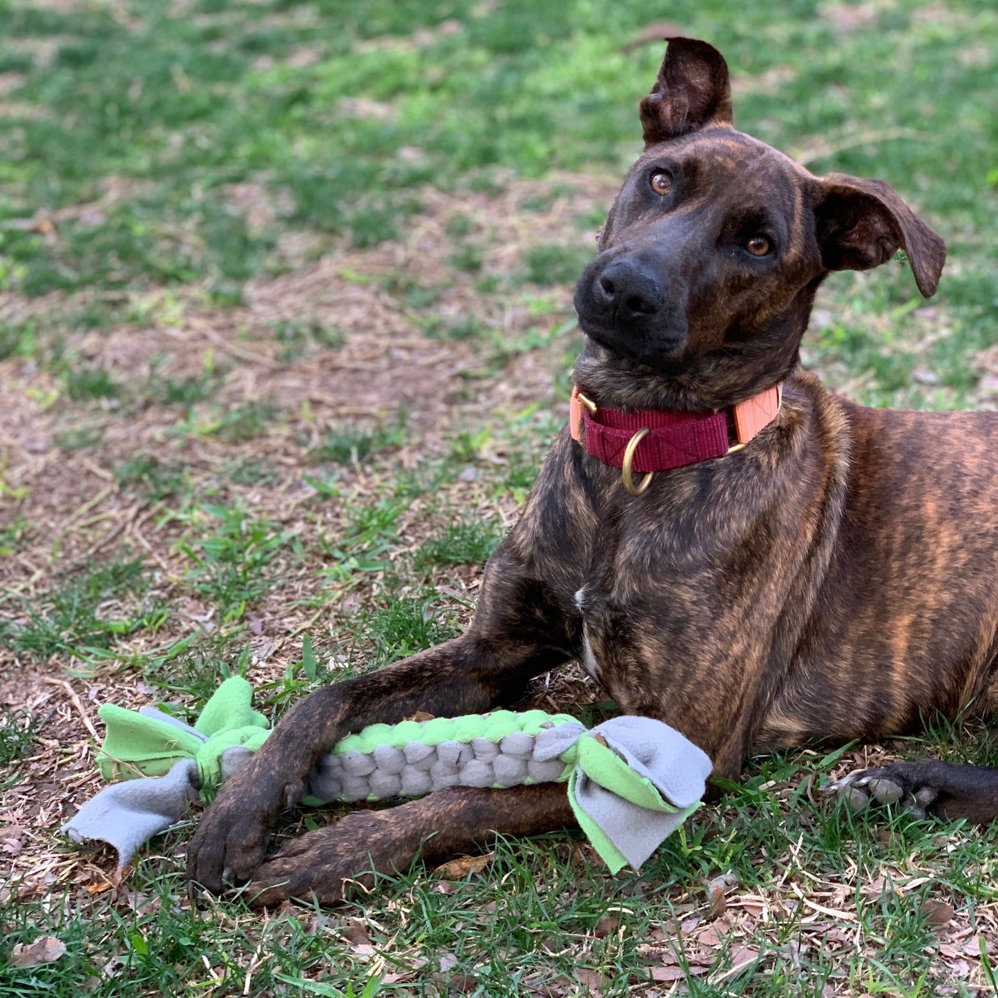hand-braided-dog-toy